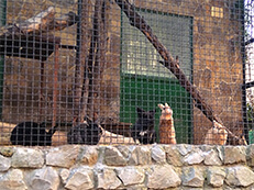 Санаторий Golden Family - Алушта (Крым), март 2026г.