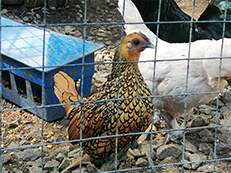 Санаторий Golden Family - Алушта (Крым), март 2026г.