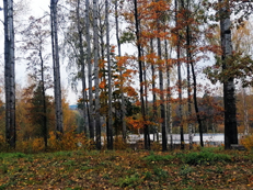 День Рождения Ромы в ДО Оленьи Пруды, фото №171