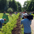 Посадка 200 кустарников аллеи Петра и Февронии в музее-заповеднике «Коломенское» (27 мая 2007 года)