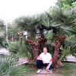 Отдых в пос.Лазаревское, 2010 год