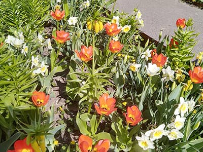 Храм Христа Спасителя и Парк Культуры имени М. Горького - 23.04.2023г.