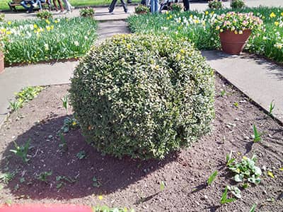 Храм Христа Спасителя и Парк Культуры имени М. Горького - 23.04.2023г.